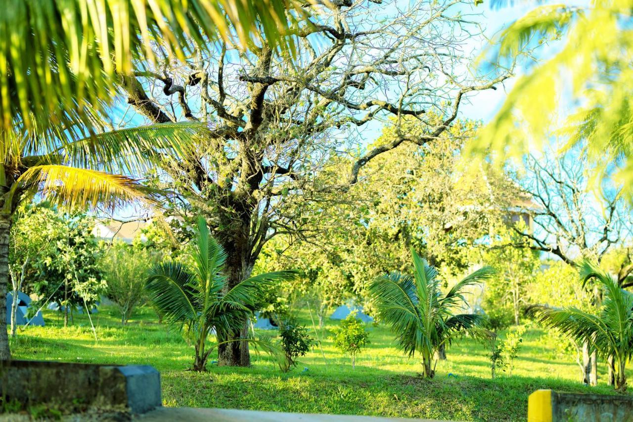 Knn Resort Mondulkiri センモノロム エクステリア 写真